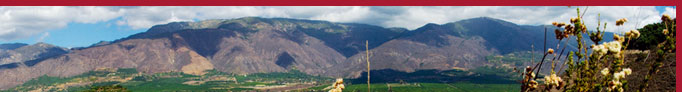 Insurance in Valley Center